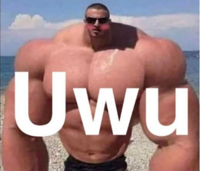 sussi baki