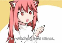 neko_chan672