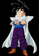 Mystic Gohan