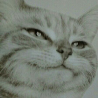 ShittyCat