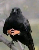 AlphaJnx