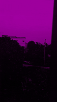veximism