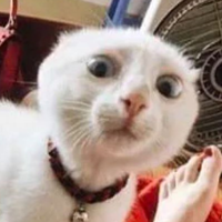SourCat