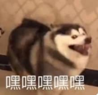 咪姆