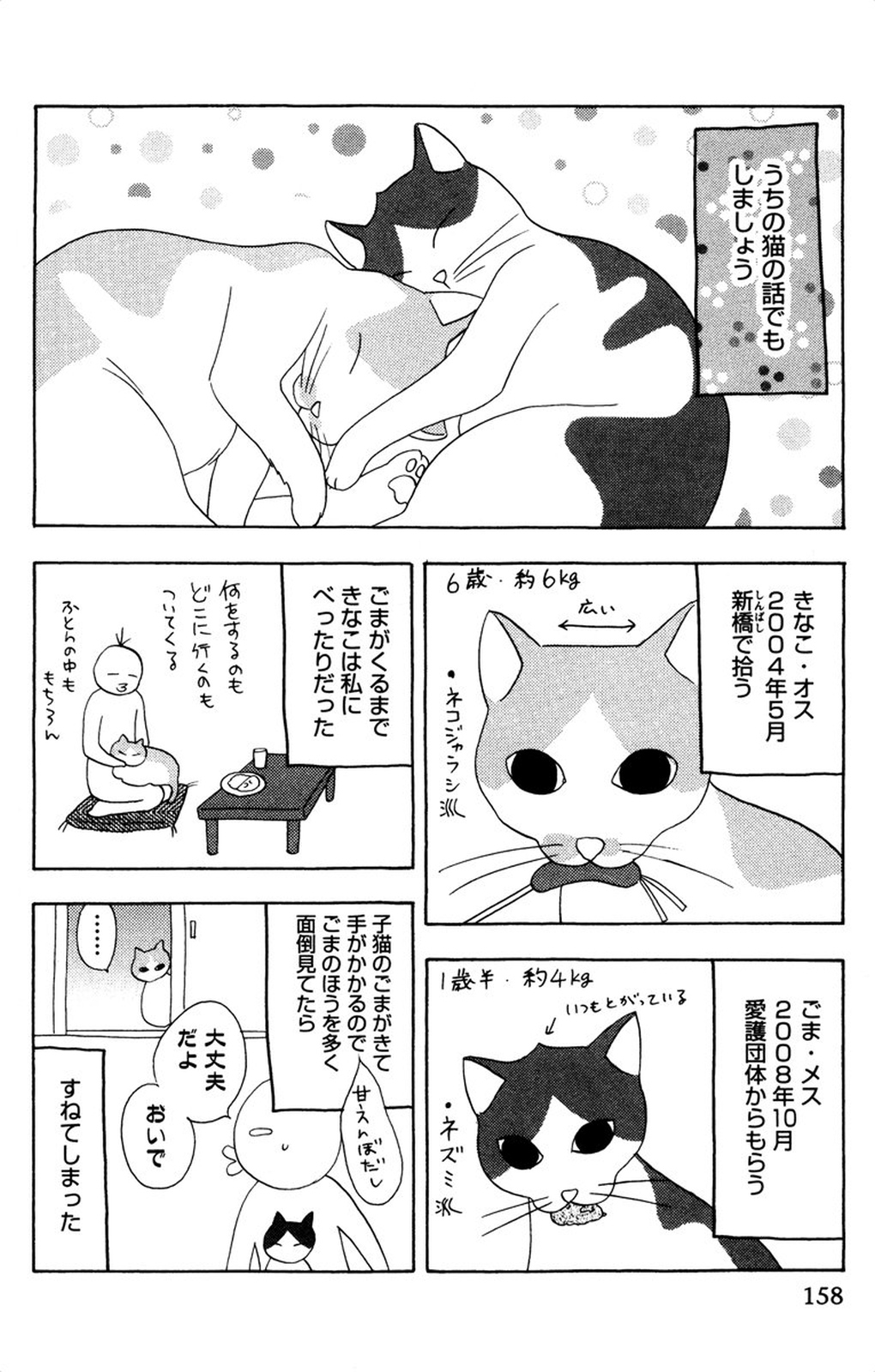 Onii-chan to love Night - Page 160