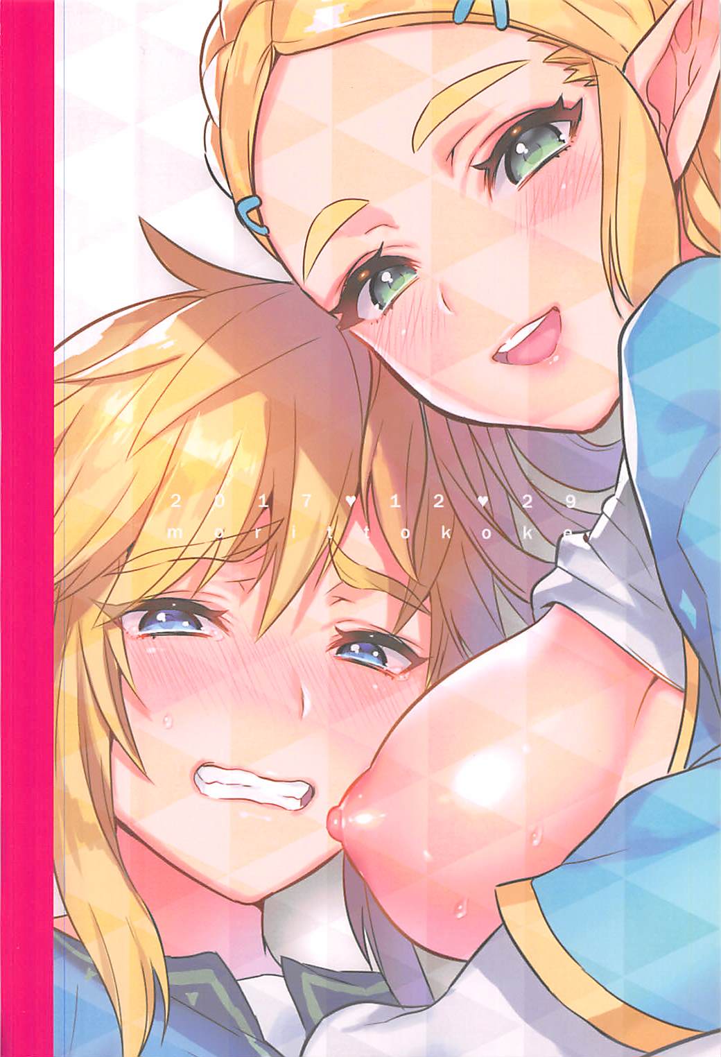 Hyrule Hanei no Tame no Katsudou! - Page 26