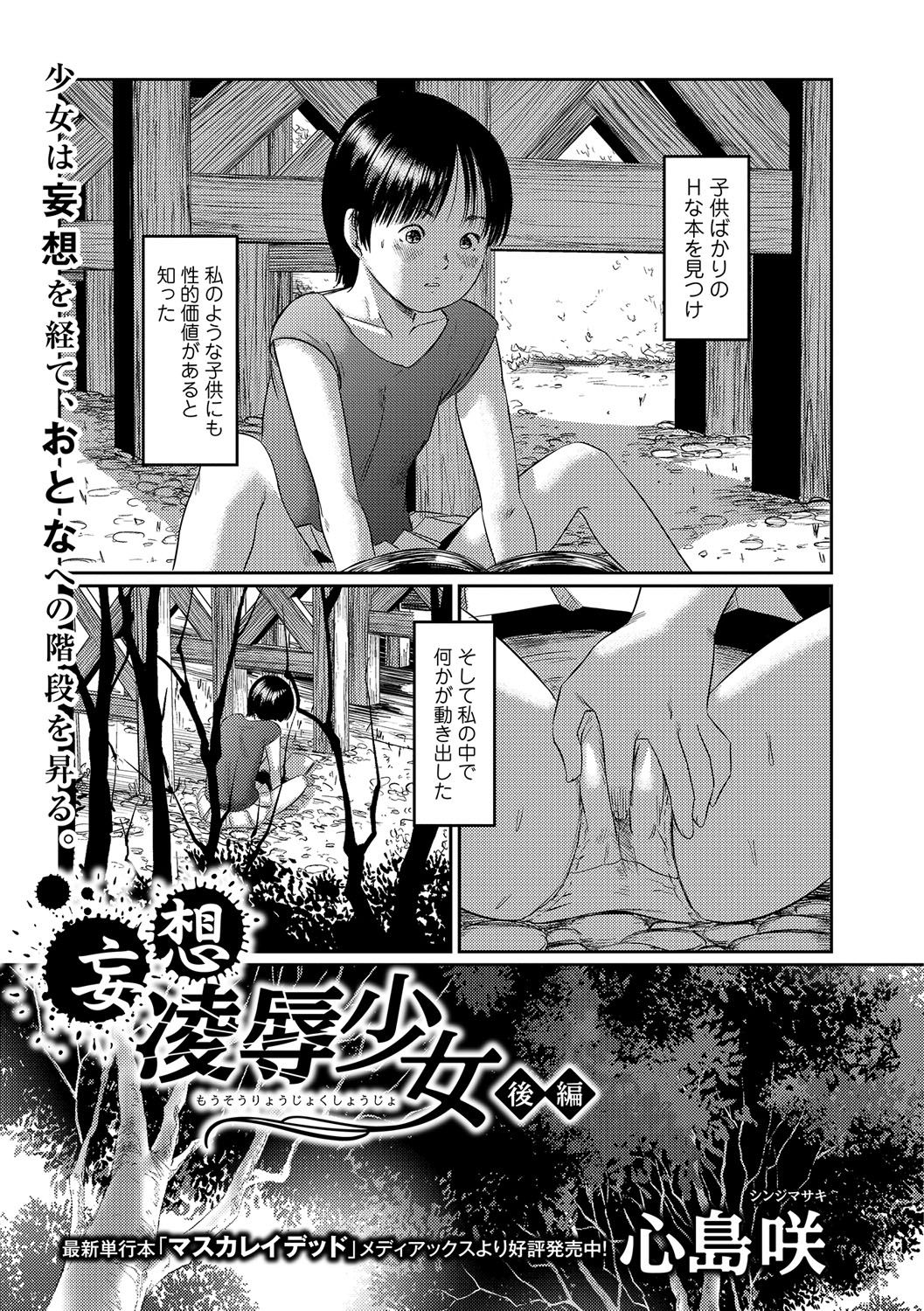Mousou Ryoujoku Shoujo - Page 17