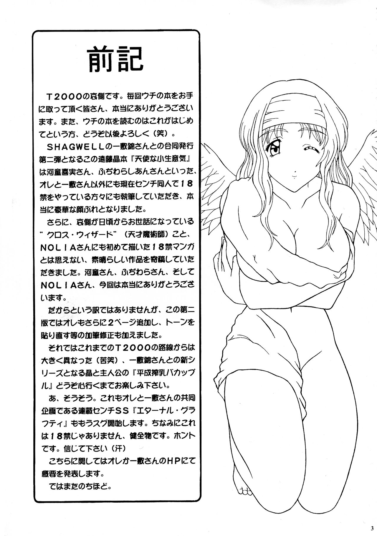 Preview page 2