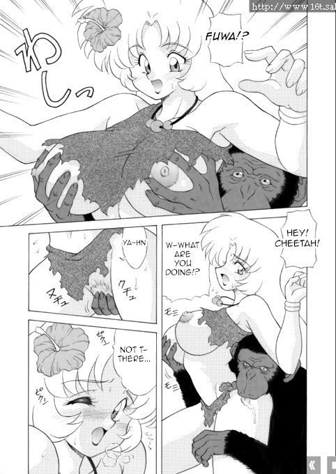 Preview page 5