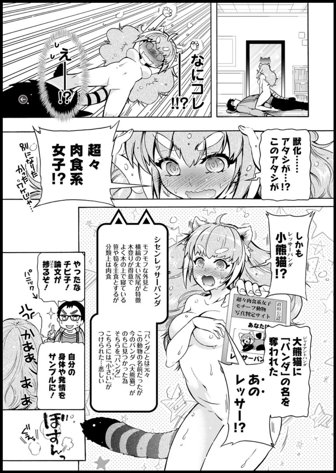 Action Pizazz DX 2018-11 - Page 33