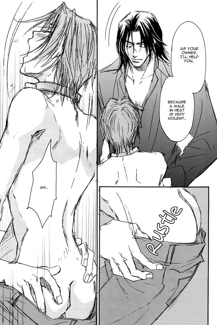 PET - Page 17