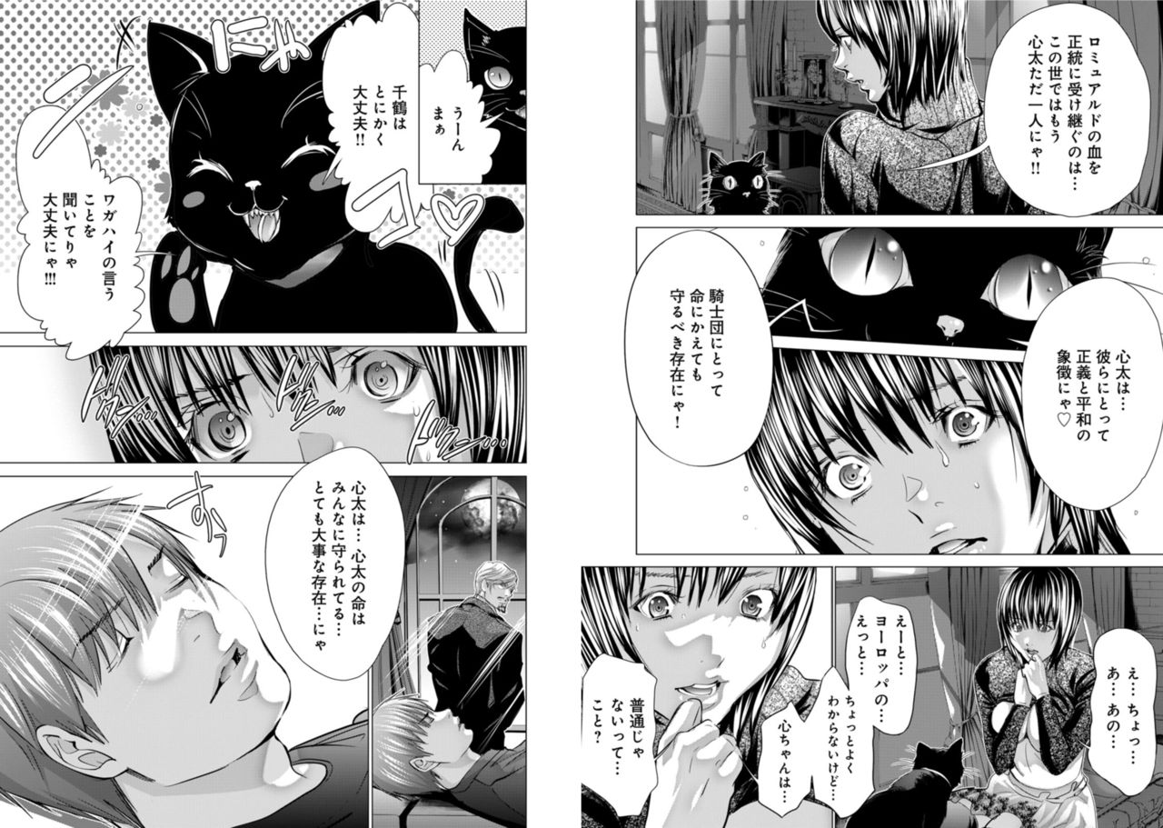 Holy Knight ~Junketsu to Ai no Hazama de~ Vol. 8 - Page 33