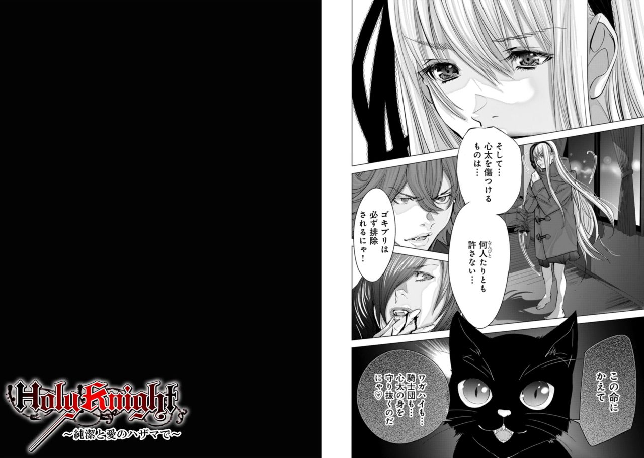 Holy Knight ~Junketsu to Ai no Hazama de~ Vol. 8 - Page 34