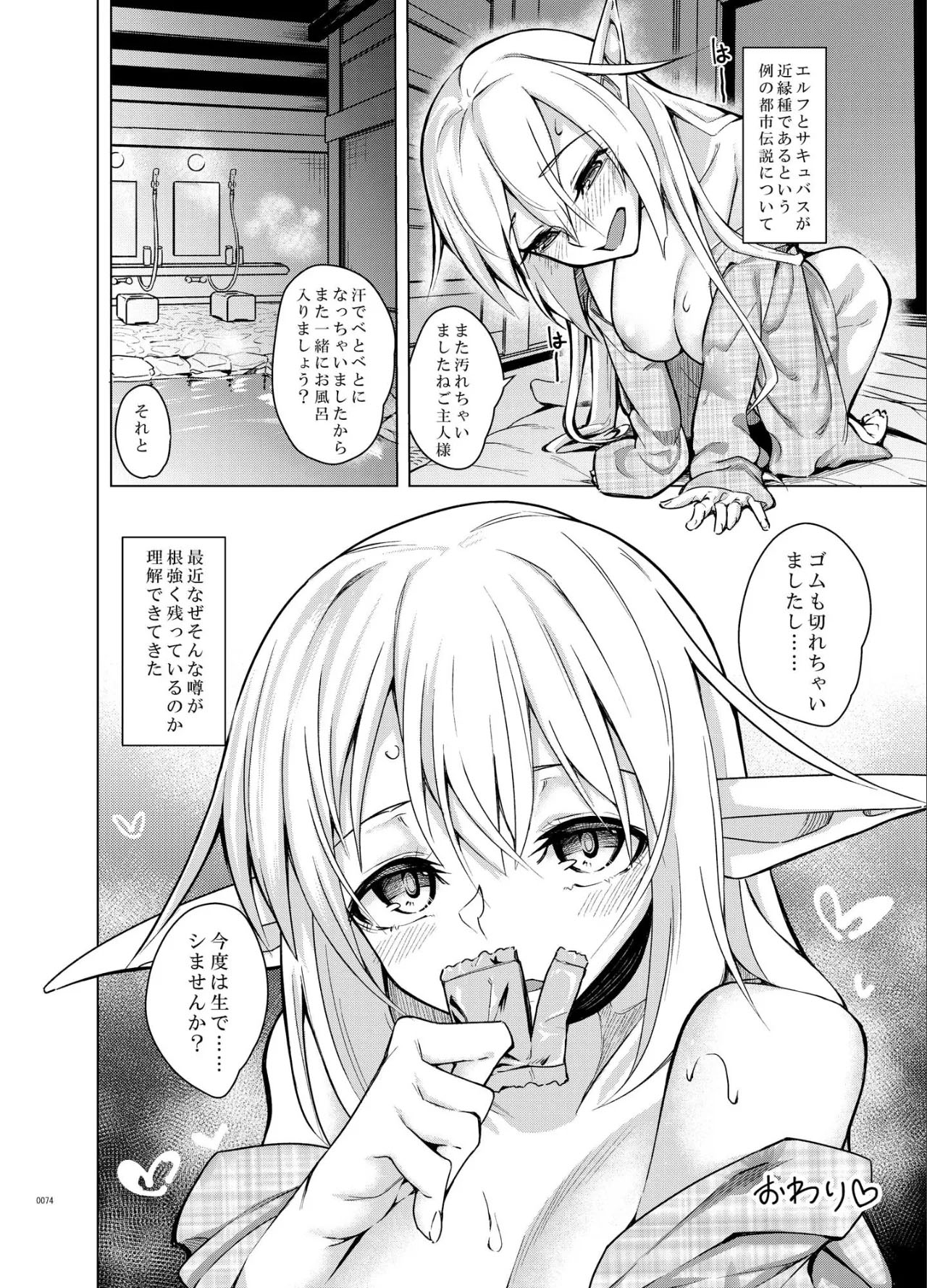 Toaru Elf o Hikitorimashite Soushuuhen - Page 74