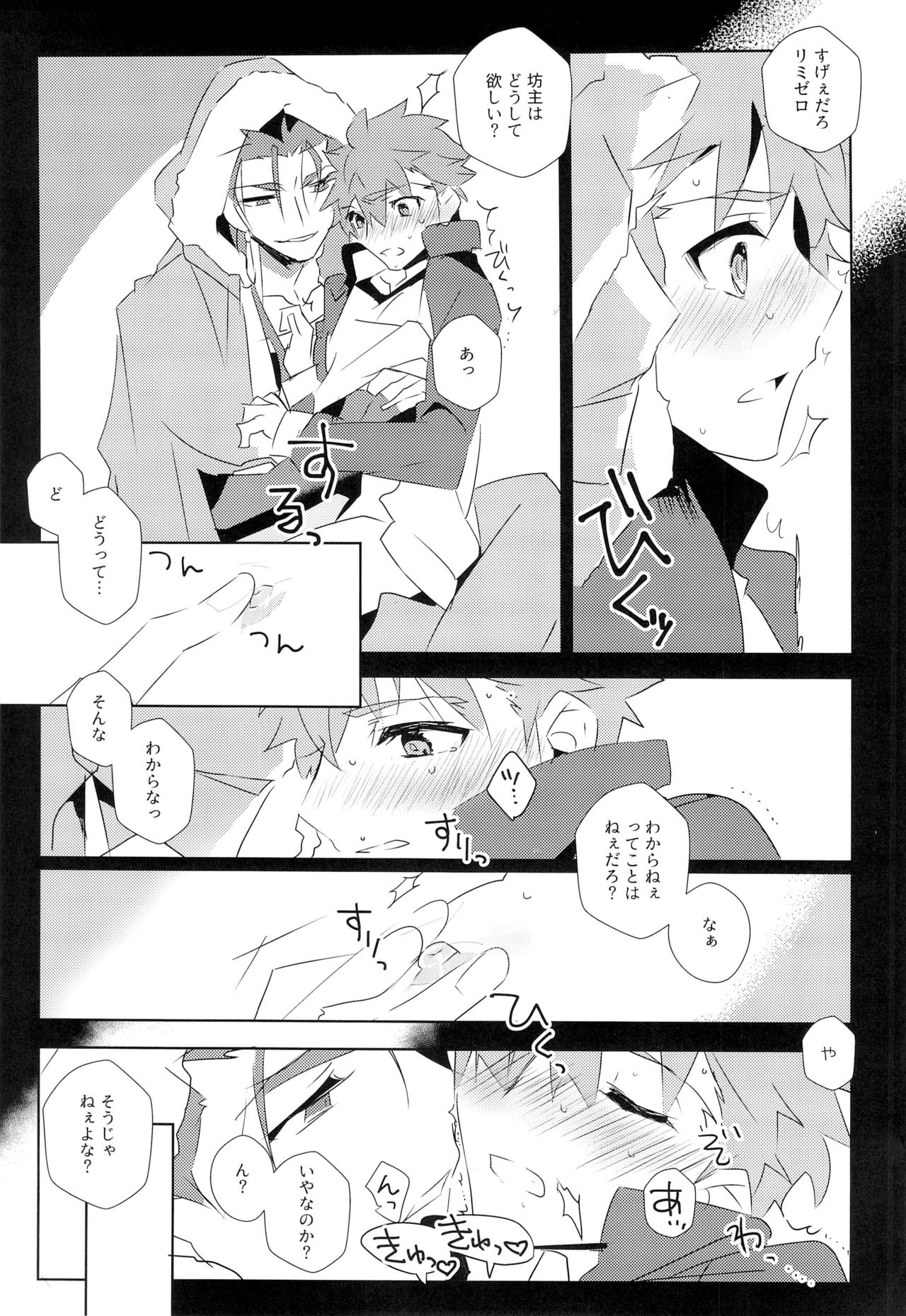 Cú Chulainns x Touei Limi no Ecchi na Hon - Page 25