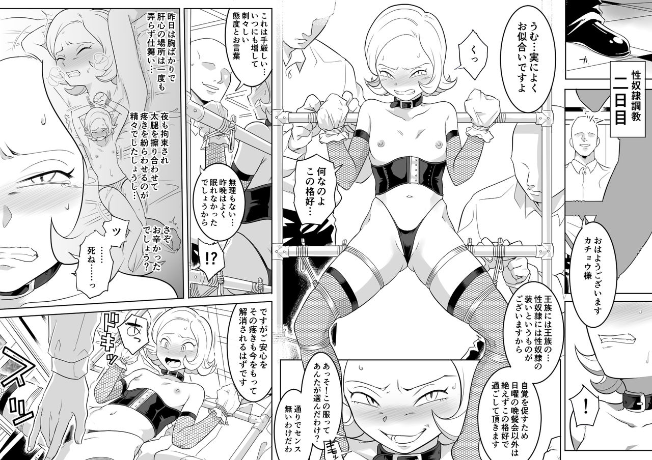 Kachou Seidorei Choukyou - Page 10