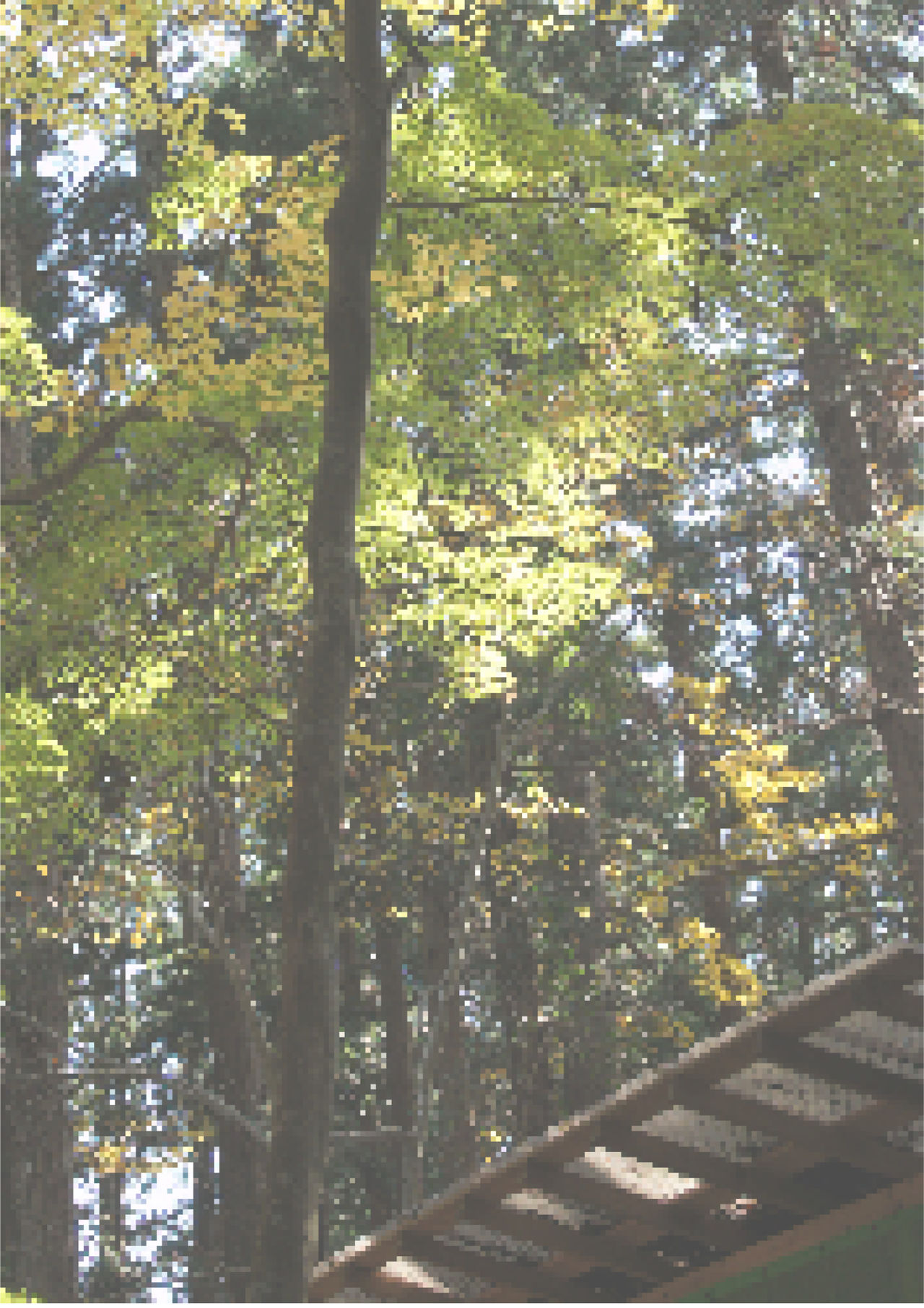 Nikuki Ane ha Mono Iwanu Haijin Onaho ni Narimashita page 40 - sole female nakadashi hentai manga - read online free