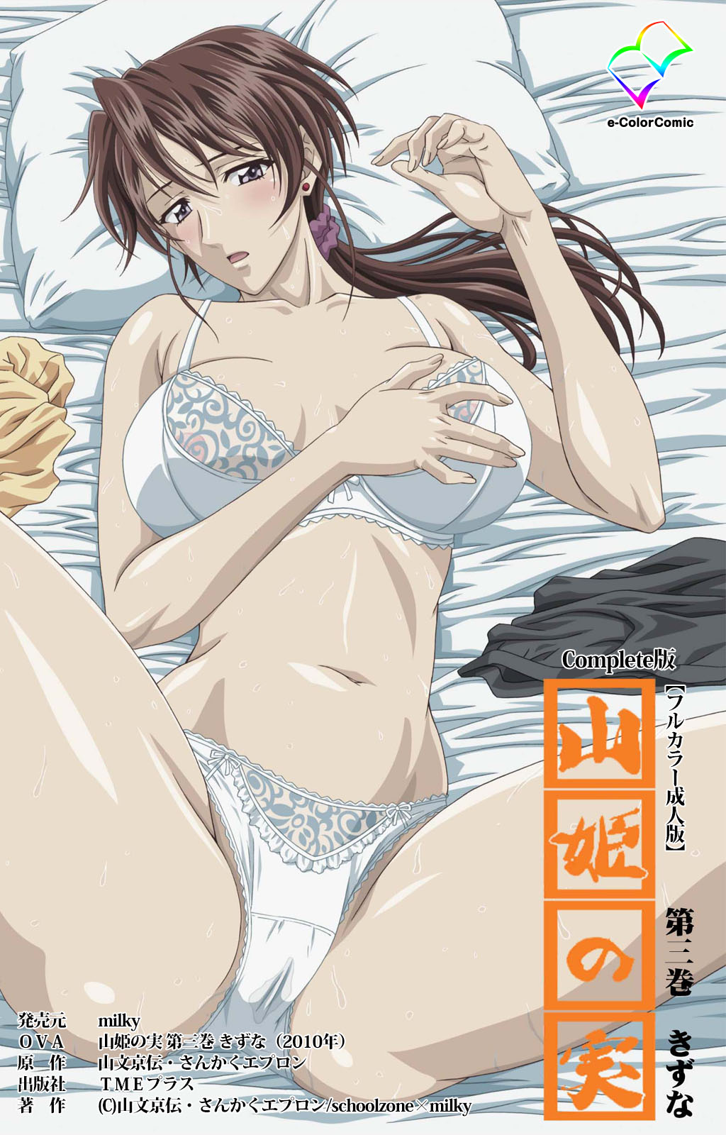 yama hime no mi Kanzenban page 242 - full color mosaic censorship hentai manga - read online free