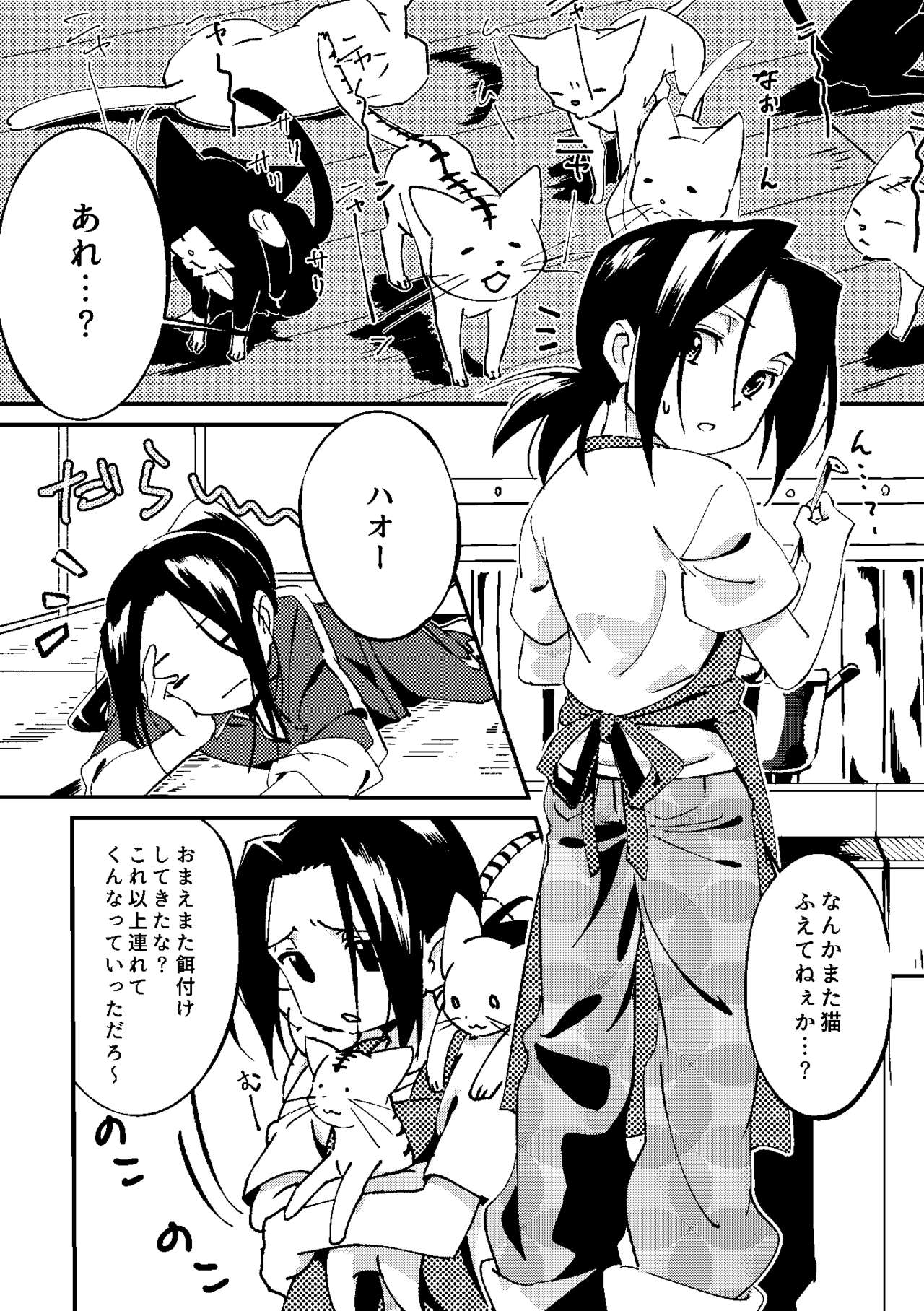 Boro Goya HaoYoh Sairokushuu - Page 17