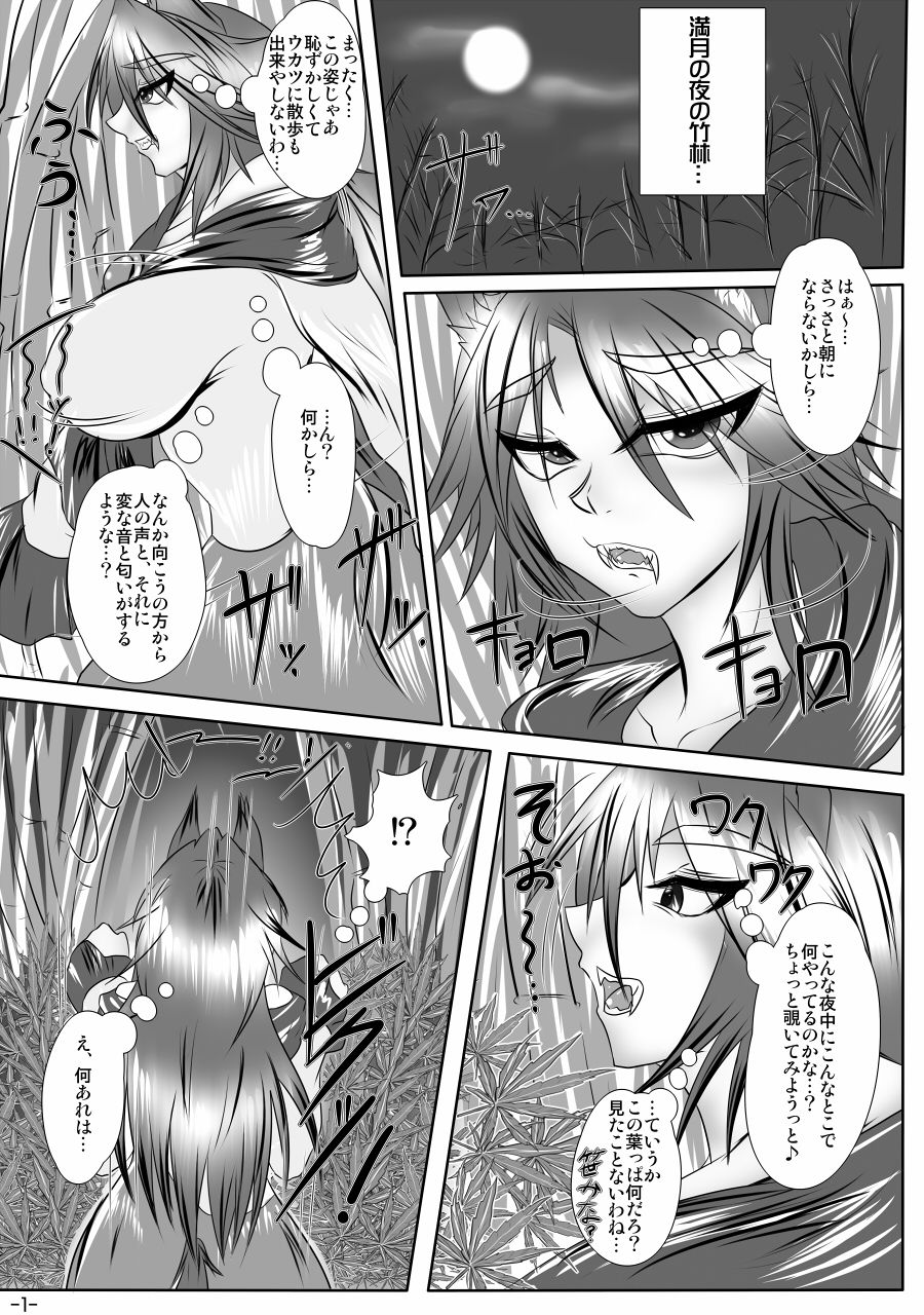 Preview page 2