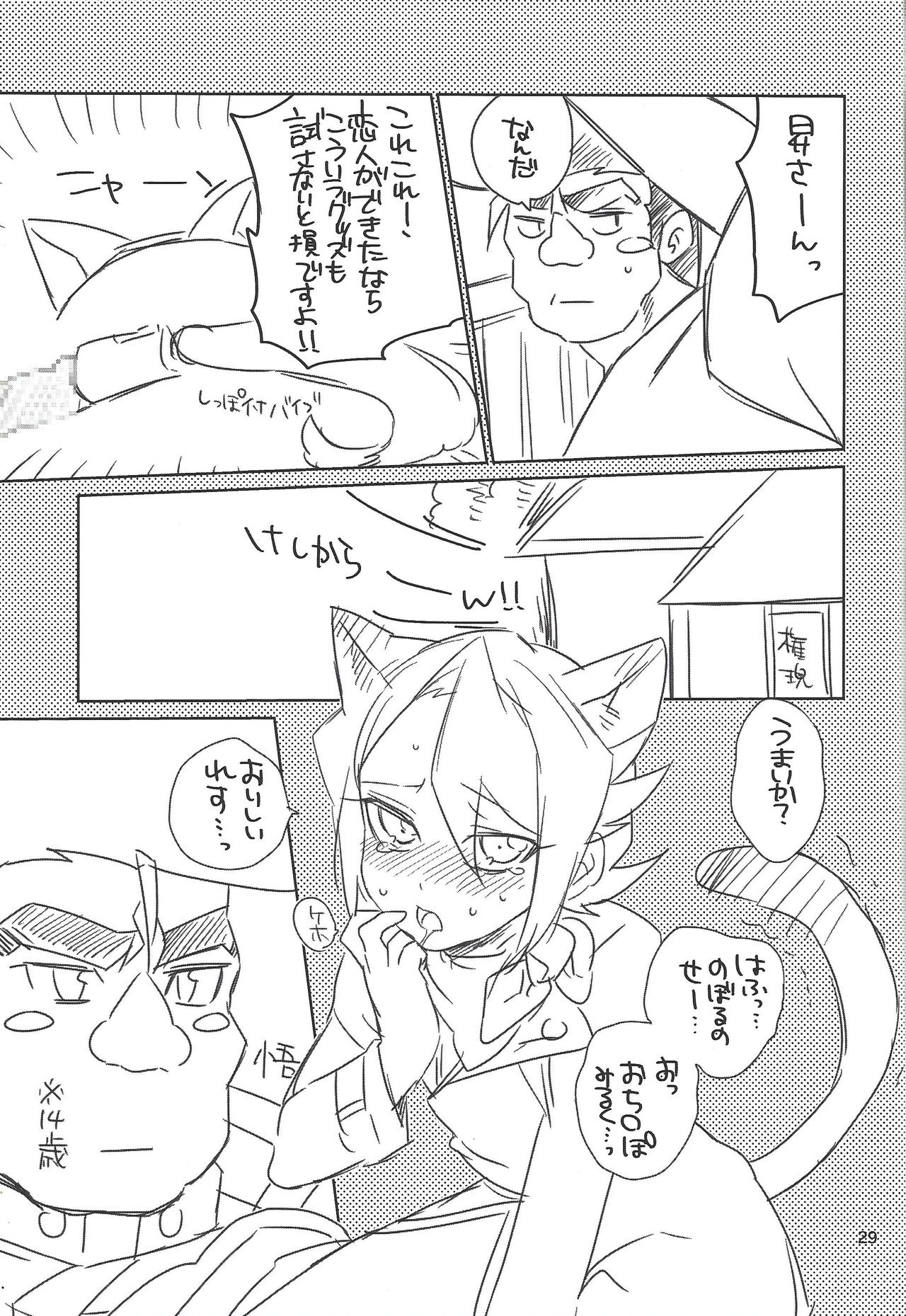 Hayabusa no Yomeiri - Page 27