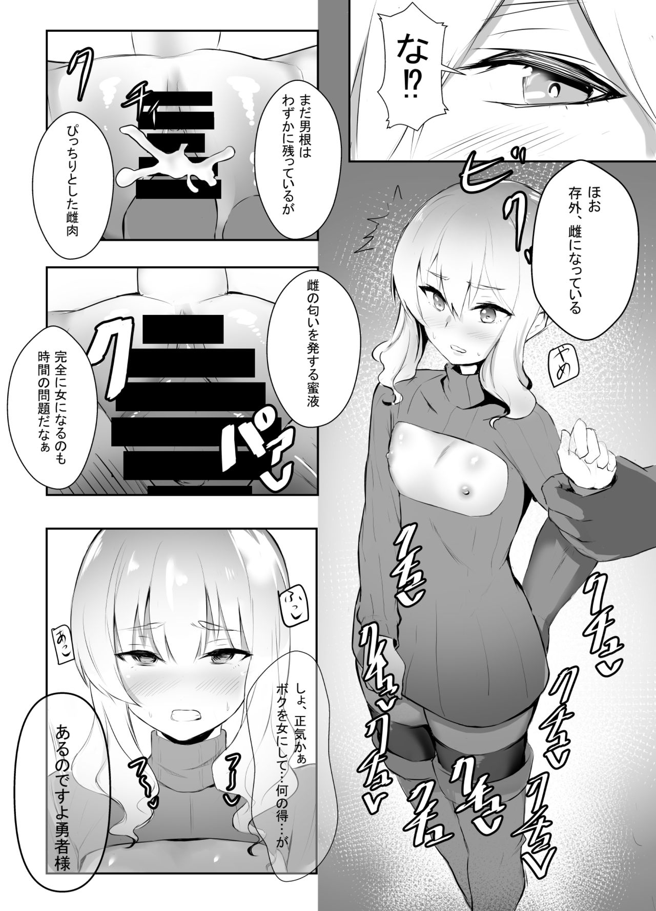 Mesu Ochi shita Yuusha-sama - Page 11