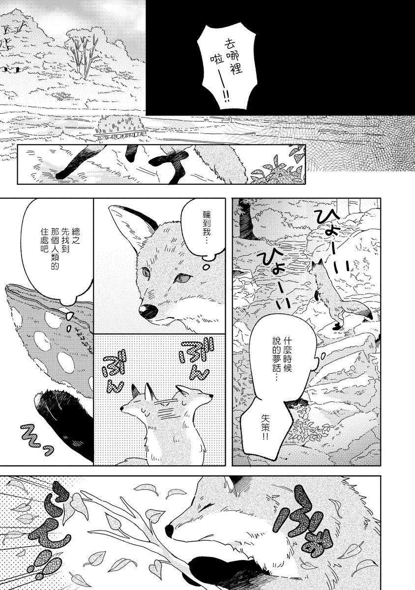 Kogitsune Shishou wa Hekotarenai!!! | 小狐狸老师永不气馁!!! 1 - Page 11