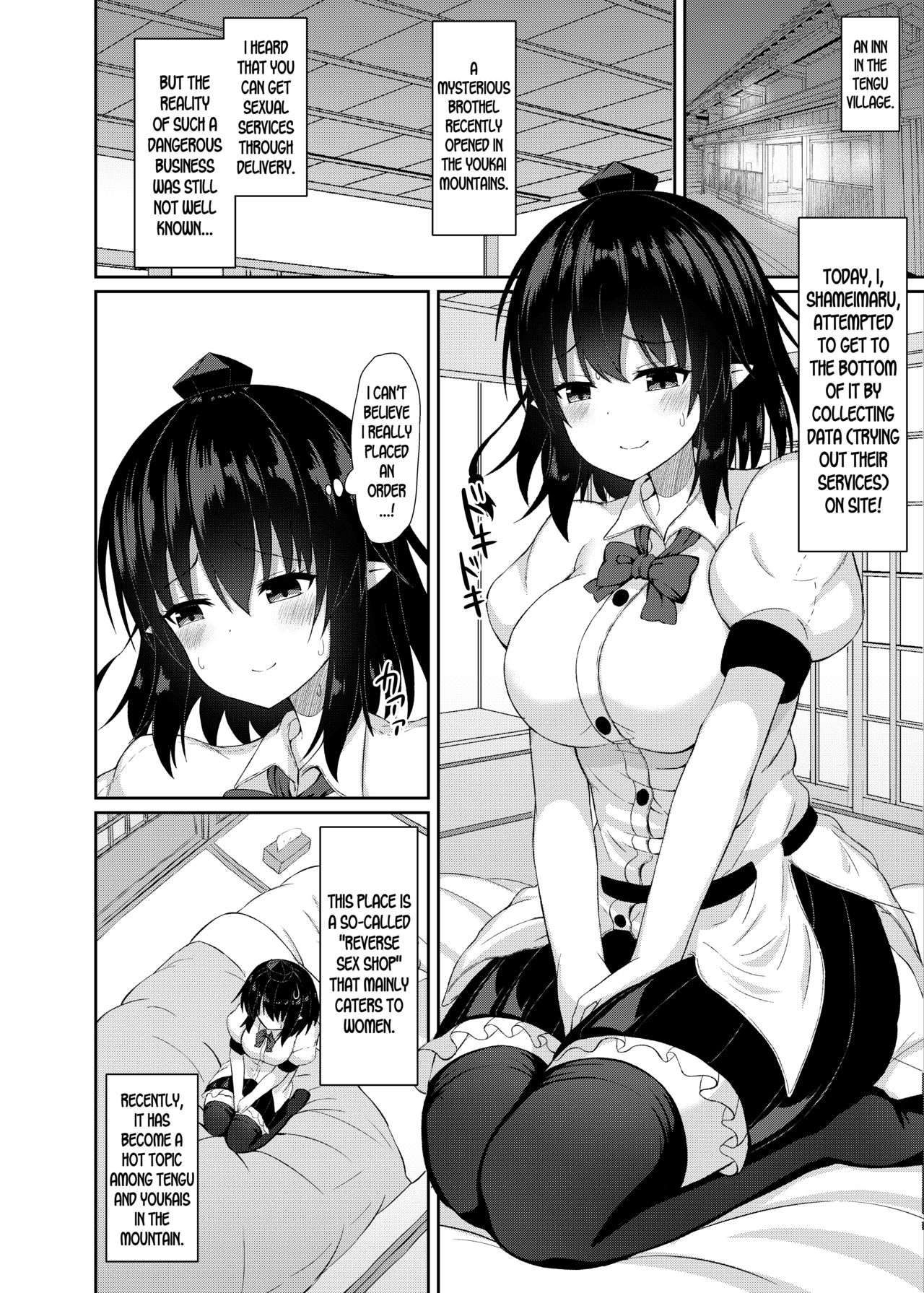 Preview page 3