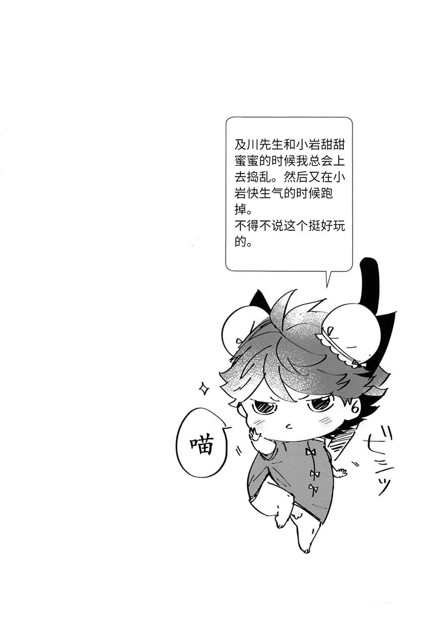Iwa-chan no Neko ni Naritai 7 | 我想成为小岩的猫7 - Page 11