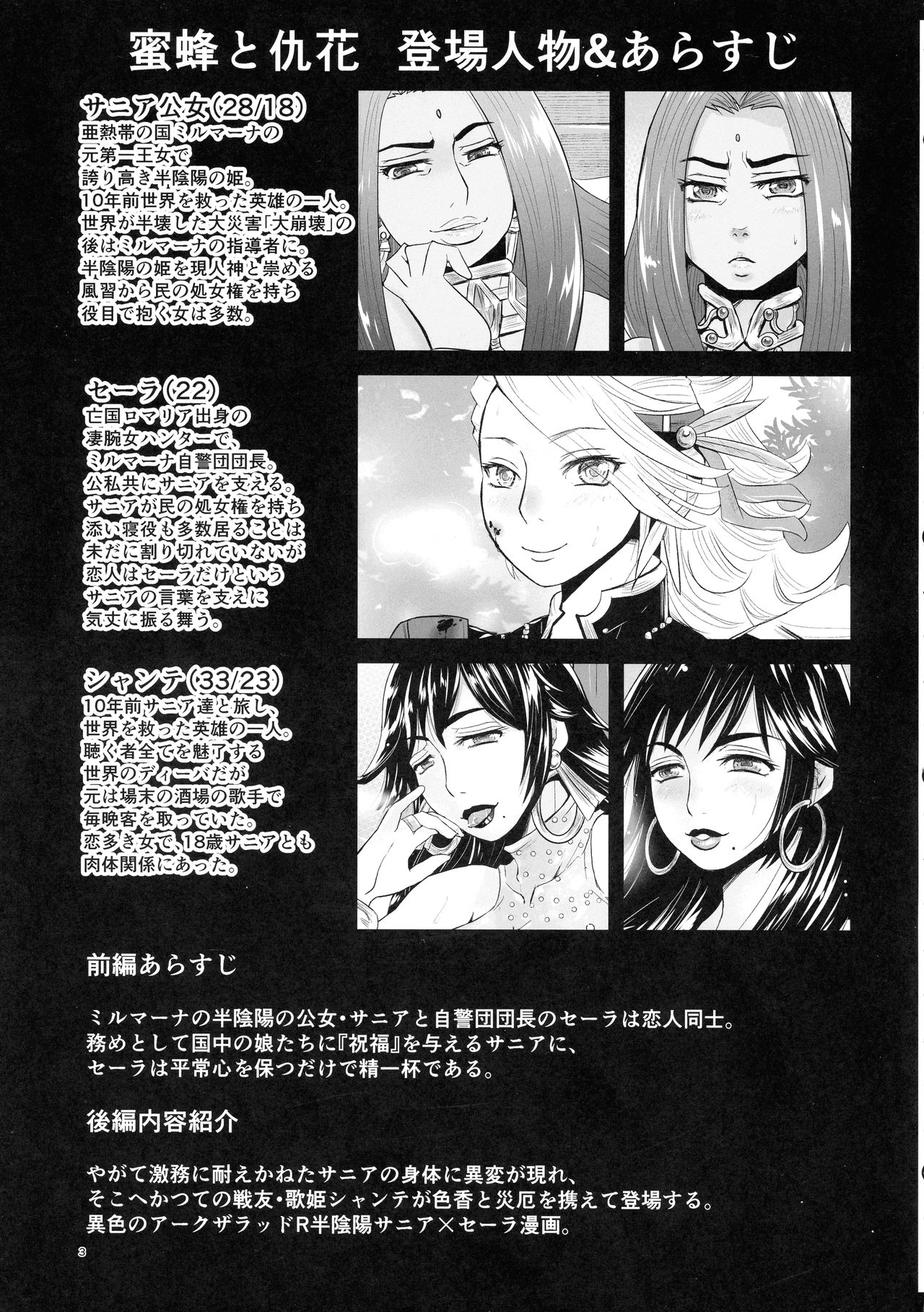 Preview page 3