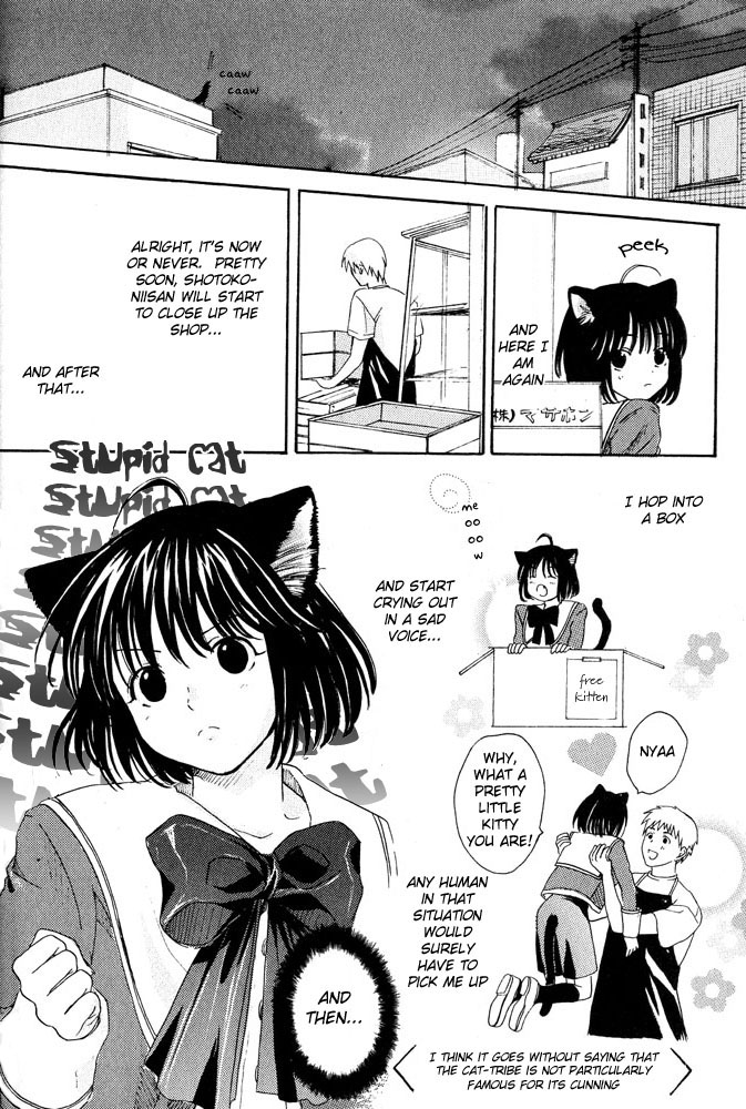 Mimi Paradise Vol. 1 - Page 34