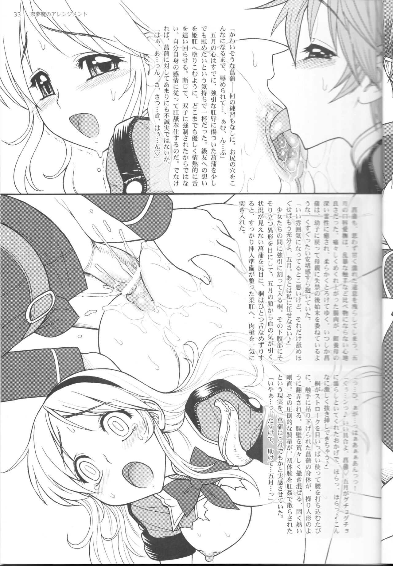 Soumu Ma no Arenjimento - Page 33