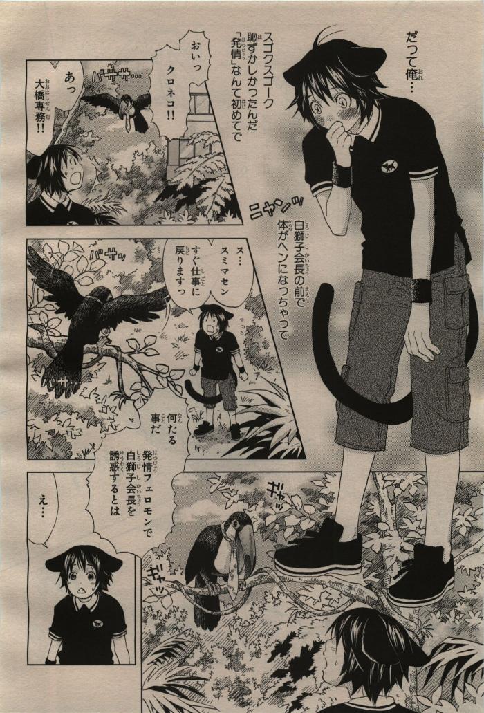 BE・BOY GOLD 2009-04 - Page 404