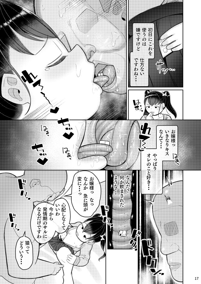 Ochinpo Daisuki Ojou-sama! - Page 15