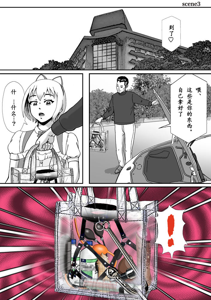 こんなふうにマゾにされていくのね。ニューハーフ娼婦露出調教旅行 - Page 37