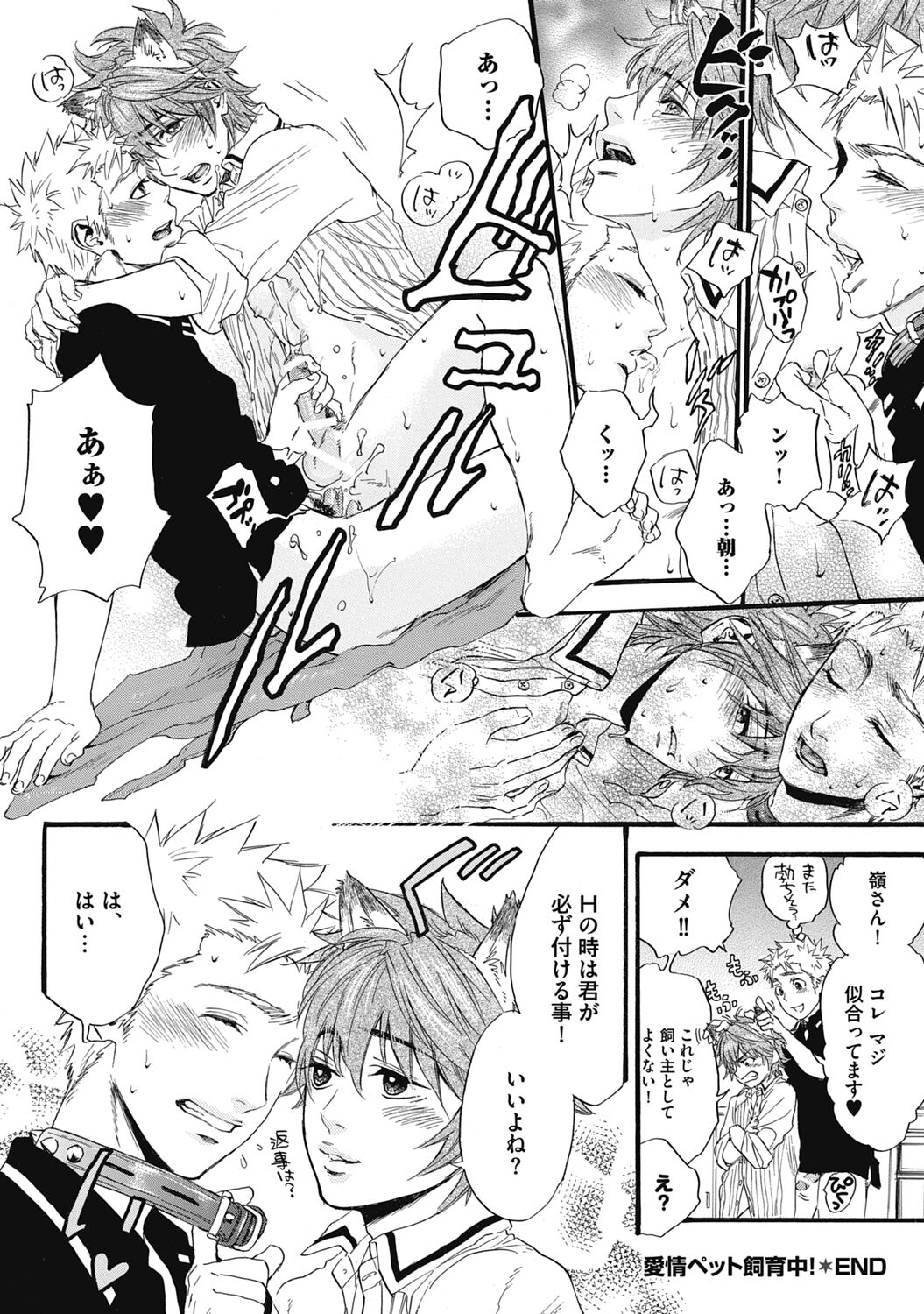 Hatsujou Pet Choukyouchuu! - Page 194