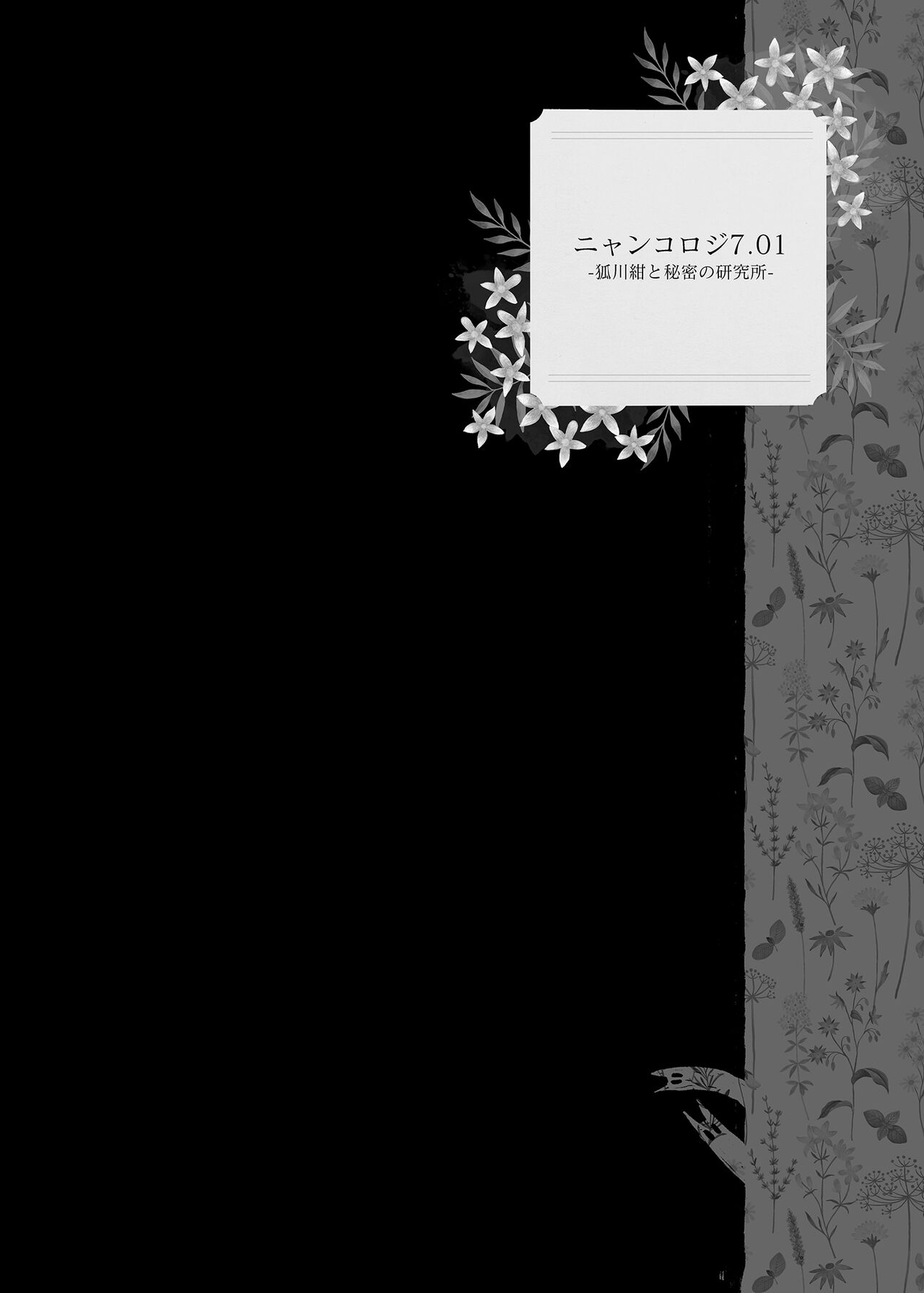 Nyancology Soushuuhen 2 | 喵喵可蘿姬 總集篇2 - Page 42