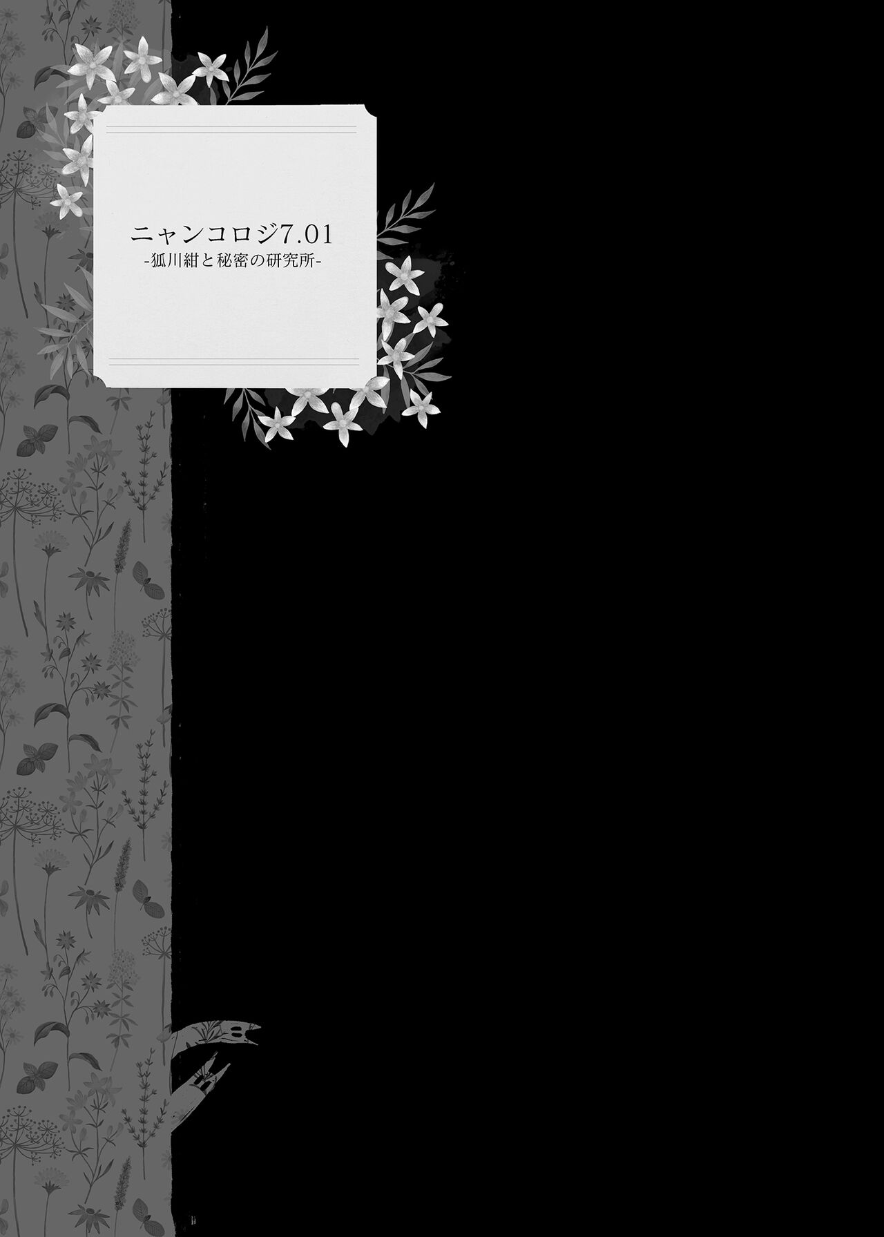 Nyancology Soushuuhen 2 | 喵喵可蘿姬 總集篇2 - Page 47
