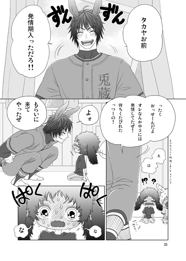Usagi no Hon - Page 33