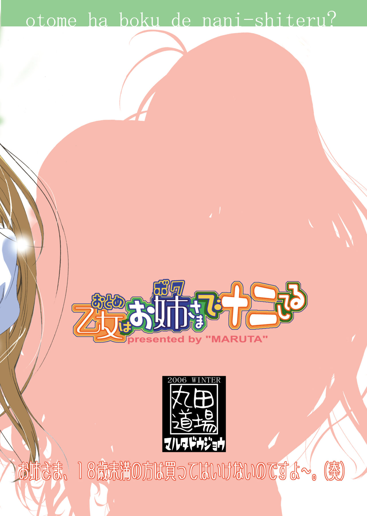 Otome wa Boku de Nani Shiteru - Page 20