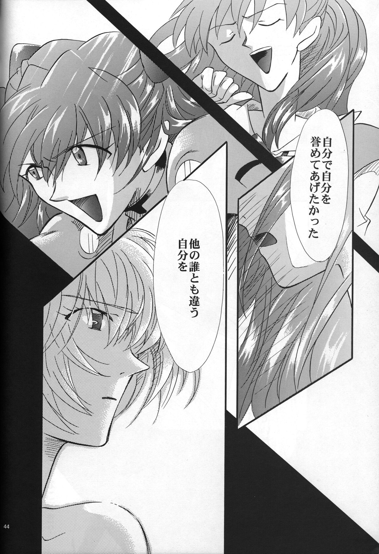 <Shinyaku> NEON GENESIS document R - Page 45