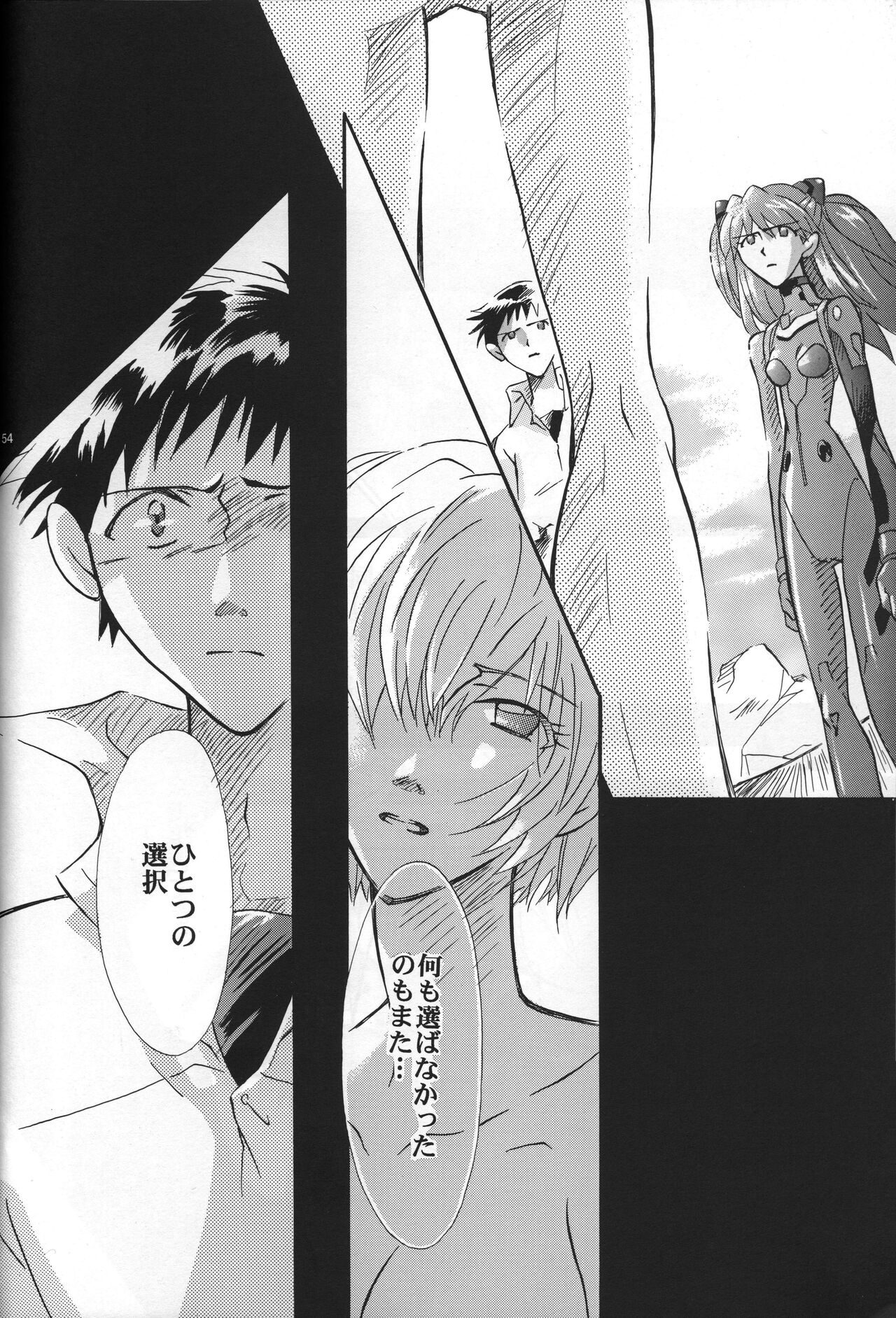 <Shinyaku> NEON GENESIS document R - Page 55