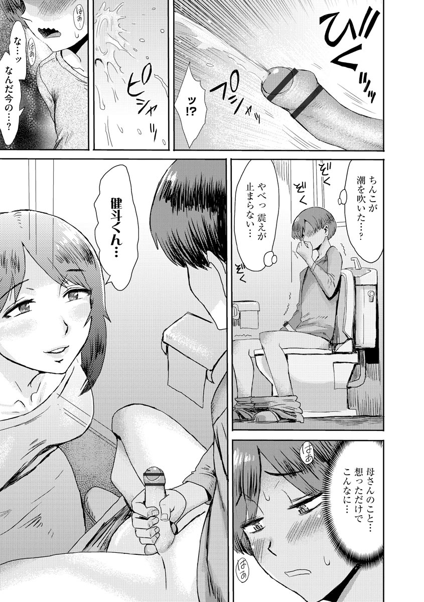 Soukan Syoukougun ~Boku dake no Mesumama~ - Page 17