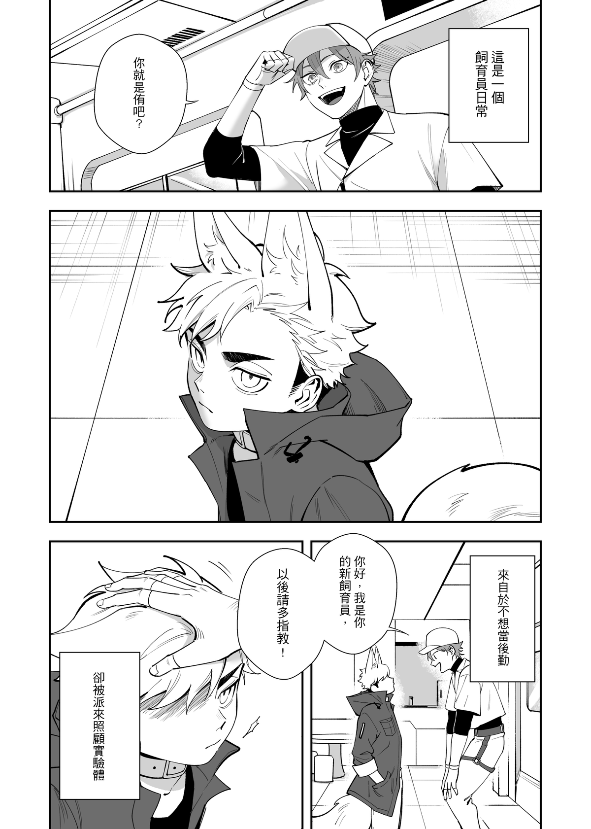 Preview page 2