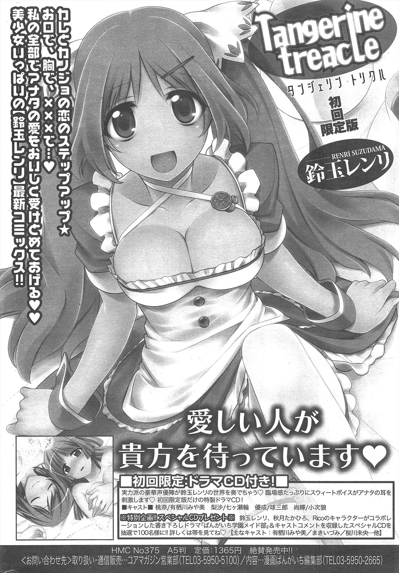 Manga Bangaichi 2013-02 - Page 312