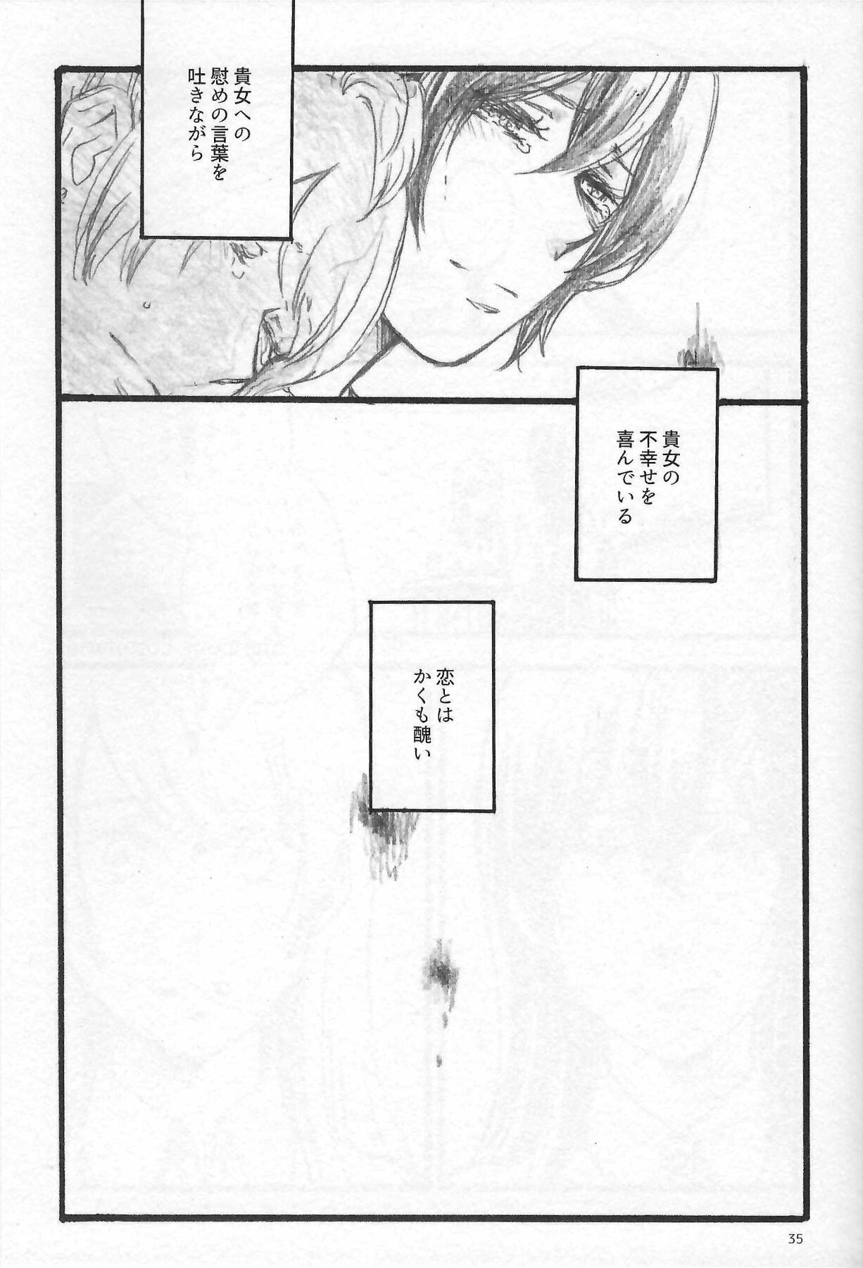 Anemone coronaria - Page 34