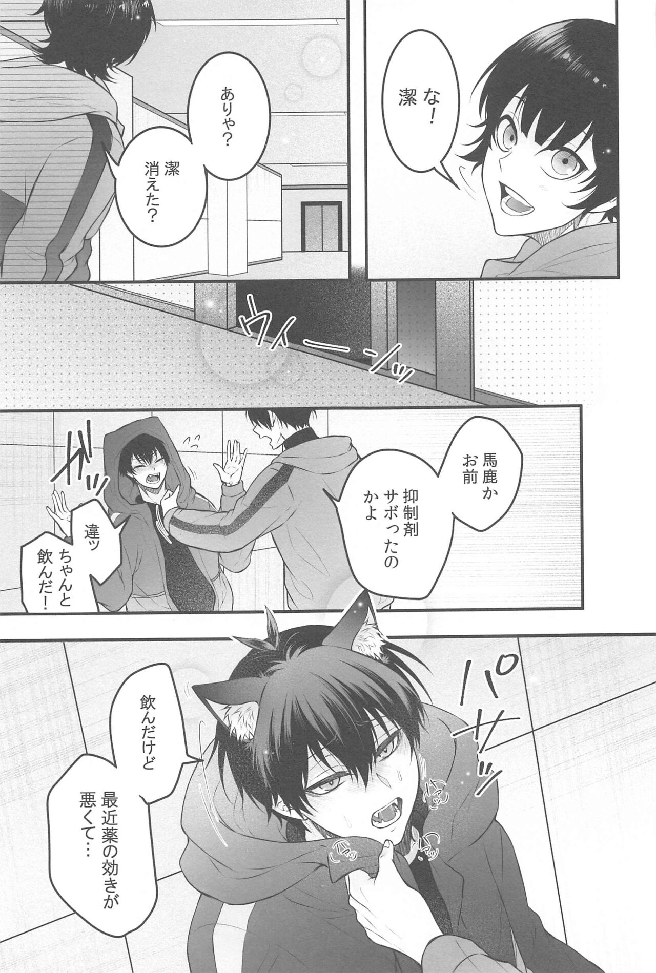 RINISA VARIETY PACK - Page 14