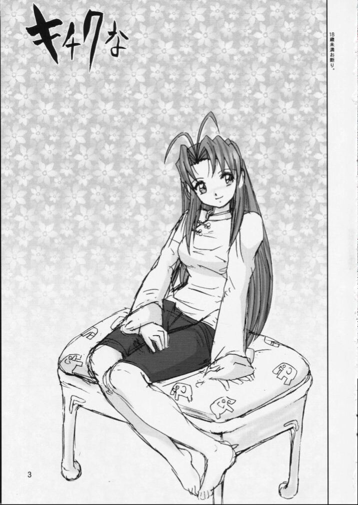Page 3 of Kichikuna