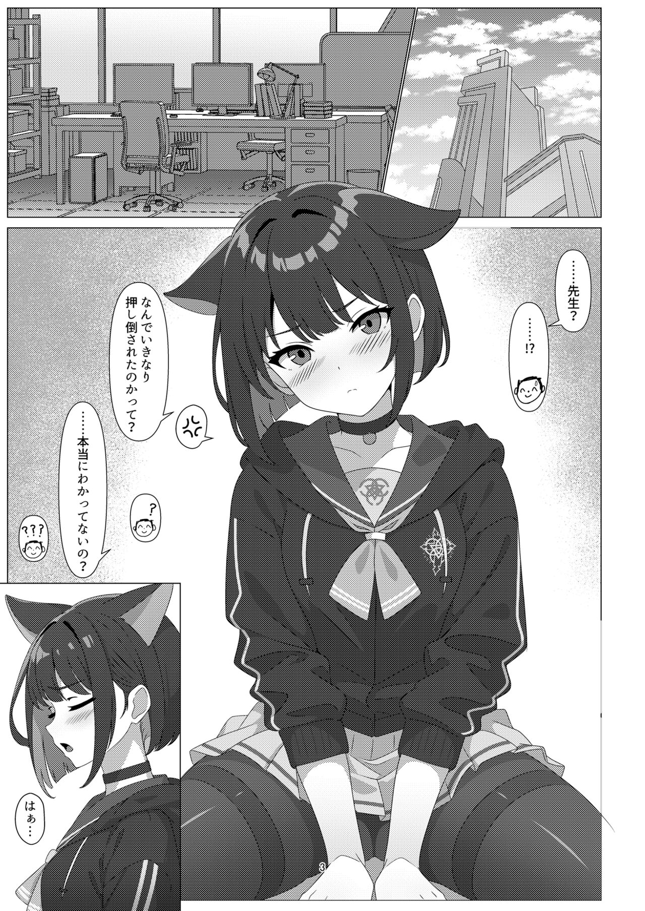 Preview page 3