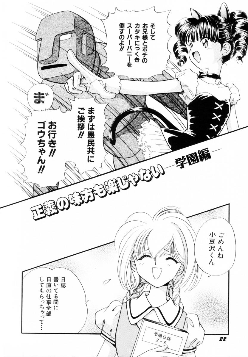 Seigi no Mikata mo Raku Janai - Page 25